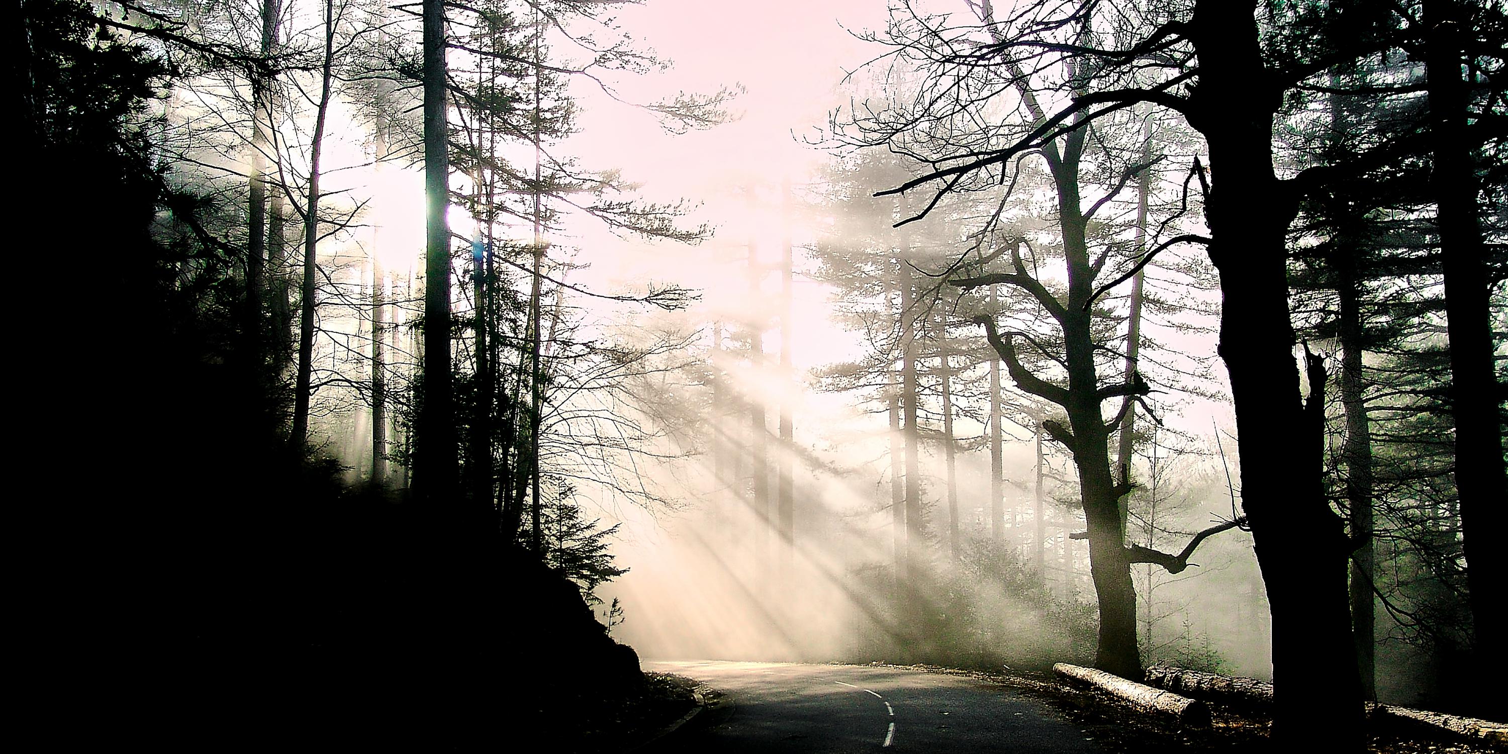 ENTER DANS LA LUMIERE